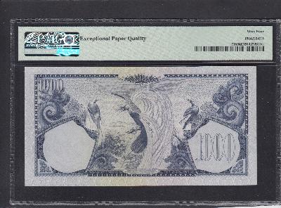 Beschrijving achterzijde: BIRDS